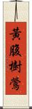 黃腹樹鶯 Scroll