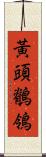 黃頭鶺鴒 Scroll