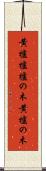 黄櫨 Scroll