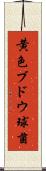 黄色ブドウ球菌 Scroll