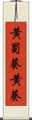 黄蜀葵 Scroll