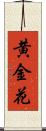 黄金花 Scroll