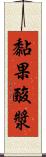 黏果酸漿 Scroll