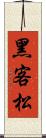 黑客松 Scroll
