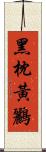 黑枕黃鸝 Scroll