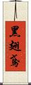 黑翅鳶 Scroll