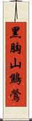 黑胸山鷦鶯 Scroll