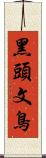 黑頭文鳥 Scroll