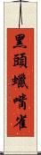 黑頭蠟嘴雀 Scroll
