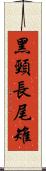 黑頸長尾雉 Scroll