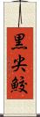 黒尖鮫 Scroll