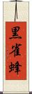 黒雀蜂 Scroll