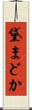 黛まどか Scroll