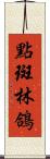 點斑林鴿 Scroll