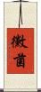 黴菌 Scroll