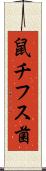 鼠チフス菌 Scroll