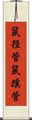 鼠径管 Scroll