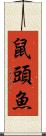 鼠頭魚 Scroll