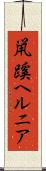 鼡蹊ヘルニア Scroll
