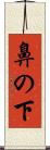 鼻の下 Scroll