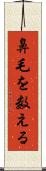 鼻毛を数える Scroll