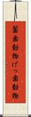 齧歯動物 Scroll