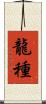 龍種 Scroll