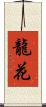 龍花 Scroll