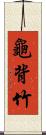 龜背竹 Scroll