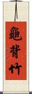 龜背竹 Scroll