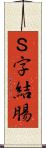 Ｓ字結腸 Scroll