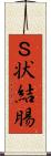 Ｓ状結腸 Scroll
