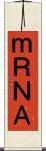 ｍＲＮＡ Scroll