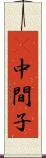 Π中間子 Scroll