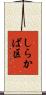 しらかば区 Scroll