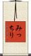みっちり Scroll