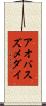 アオバスズメダイ Scroll