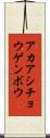 アカアシチョウゲンボウ Scroll