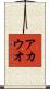アカウオ Scroll