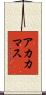 アカカマス Scroll