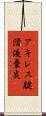 アキレス腱滑液嚢炎 Scroll