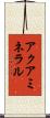 アクアミネラル Scroll