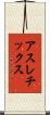 アスレチックス Scroll