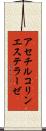 アセチルコリンエステラーゼ Scroll