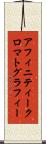 アフィニティークロマトグラフィー Scroll