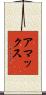 アマックス Scroll