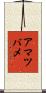 アマツバメ Scroll
