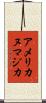 アメリカヌマジカ Scroll