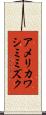 アメリカワシミミズク Scroll