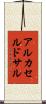 アルカセルドサル Scroll